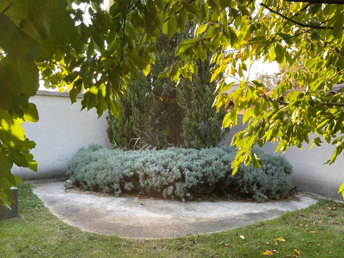 Studio Les Petits Lutins Entraigues-sur-la-Sorgue Luaran gambar